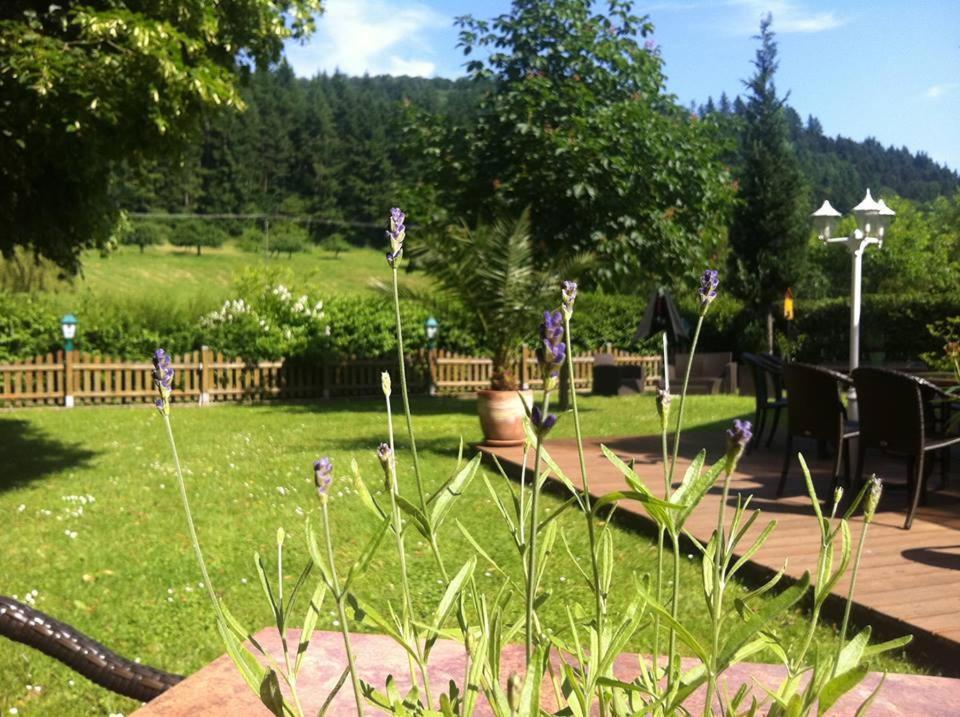 Landgasthof Hirsch Baden-Baden Buitenkant foto
